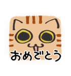 猫の顔だけスタンプ ちゃとら（個別スタンプ：38）