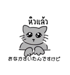 banromsai タイ語と手描きねこ（個別スタンプ：8）