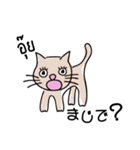 banromsai タイ語と手描きねこ（個別スタンプ：14）