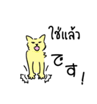 banromsai タイ語と手描きねこ（個別スタンプ：18）