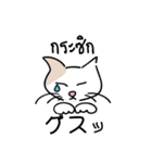 banromsai タイ語と手描きねこ（個別スタンプ：19）