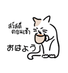 banromsai タイ語と手描きねこ（個別スタンプ：22）