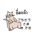 banromsai タイ語と手描きねこ（個別スタンプ：28）