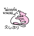 banromsai タイ語と手描きねこ（個別スタンプ：32）