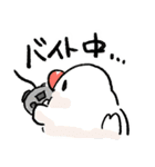 BBFの小鳥たち（個別スタンプ：3）