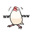 BBFの小鳥たち（個別スタンプ：9）