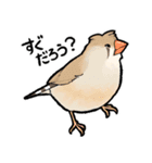 BBFの小鳥たち（個別スタンプ：11）