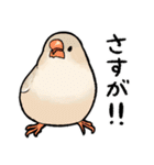 BBFの小鳥たち（個別スタンプ：14）