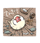 BBFの小鳥たち（個別スタンプ：16）