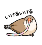 BBFの小鳥たち（個別スタンプ：23）