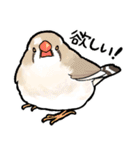 BBFの小鳥たち（個別スタンプ：30）