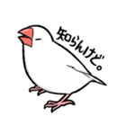 BBFの小鳥たち（個別スタンプ：32）