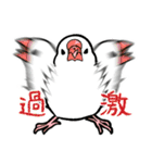 BBFの小鳥たち（個別スタンプ：36）