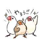 BBFの小鳥たち（個別スタンプ：38）