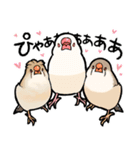 BBFの小鳥たち（個別スタンプ：39）