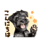 こいぬmix（個別スタンプ：7）