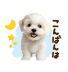 こいぬmix（個別スタンプ：8）