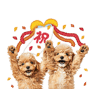 こいぬmix（個別スタンプ：11）
