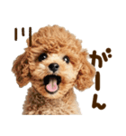 こいぬmix（個別スタンプ：16）