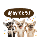 こいぬmix（個別スタンプ：19）