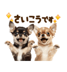 こいぬmix（個別スタンプ：36）