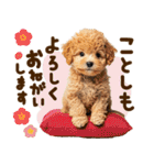 こいぬmix（個別スタンプ：39）