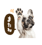 こいぬmix（個別スタンプ：40）