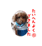 ange⑬（個別スタンプ：13）
