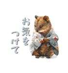 クオッカの江戸散歩（個別スタンプ：9）
