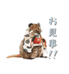 クオッカの江戸散歩（個別スタンプ：11）