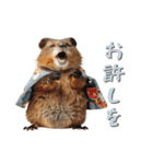 クオッカの江戸散歩（個別スタンプ：13）