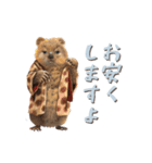 クオッカの江戸散歩（個別スタンプ：19）