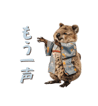 クオッカの江戸散歩（個別スタンプ：20）