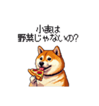 くすっと笑えるフレーズの太っちょ柴犬（個別スタンプ：6）