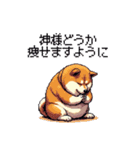 くすっと笑えるフレーズの太っちょ柴犬（個別スタンプ：9）