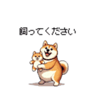 くすっと笑えるフレーズの太っちょ柴犬（個別スタンプ：10）
