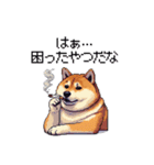 くすっと笑えるフレーズの太っちょ柴犬（個別スタンプ：11）