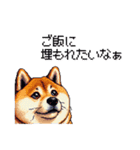 くすっと笑えるフレーズの太っちょ柴犬（個別スタンプ：12）