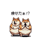 くすっと笑えるフレーズの太っちょ柴犬（個別スタンプ：13）