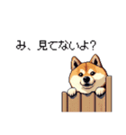 くすっと笑えるフレーズの太っちょ柴犬（個別スタンプ：14）