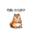 くすっと笑えるフレーズの太っちょ柴犬（個別スタンプ：15）