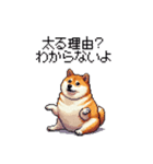 くすっと笑えるフレーズの太っちょ柴犬（個別スタンプ：19）