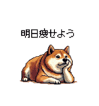 くすっと笑えるフレーズの太っちょ柴犬（個別スタンプ：27）