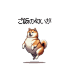 くすっと笑えるフレーズの太っちょ柴犬（個別スタンプ：33）