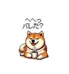 くすっと笑えるフレーズの太っちょ柴犬（個別スタンプ：38）