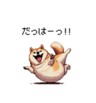 くすっと笑えるフレーズの太っちょ柴犬（個別スタンプ：39）