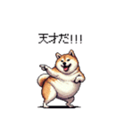 くすっと笑えるフレーズの太っちょ柴犬（個別スタンプ：40）