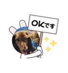 くじらとたから（個別スタンプ：5）