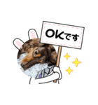 くじらとたから（個別スタンプ：7）
