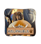くじらとたから（個別スタンプ：8）
